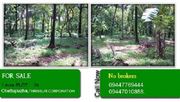 	PLOT FOR SALE IN THRISSUR CORPORATION(1 acre)-09447010888,  0944776944