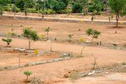 RIGHT TIME TO INVEST IN ARAKKONAM NOW !!!