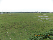 7 Bigha Land Sale Near Siliguri Eastern Bypass