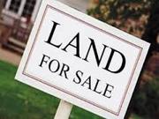 Big Commercial and Industrial Land