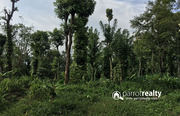 1acre land at 10 lakh in wayanad:Best Time to purchase land in wayanad