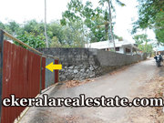 Budget rate Land Sale at Pathamkallu Nedumangad 