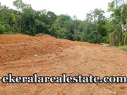 42 cents Residential Plot For Sale Near Mullassery Karakulam