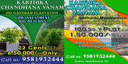100 Sq Yards 1.5 Lacs Only With Sandal Wood Plantation plots