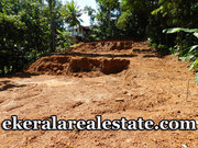 Vattappara  Price Below 1.75 Lakhs per cent land plot for sale