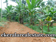 1.5 Acre Land for sale at Alantharakonam Peyad