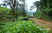 Farm purpose property available in Wayanad