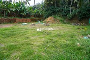 28 cent  house plot for sale in Payode near Mananthavady…...