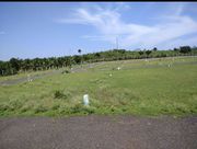 Land For Sale In Low Budget Plots 