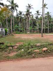 16 Cents Residential Land for sale at Pathiyarakkara - Maniyoor