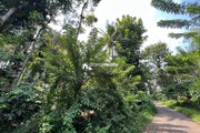 2 acre land for sale near Punchavayal @ 15 lakh/acre...