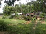 @Rs 3, 20, 000 per bigha ,  4 bigha commercial cum agri Land for sale 
