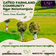 Agriculture Land for Commercial Farming 